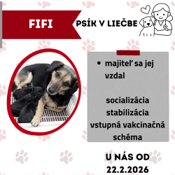 FIFI
