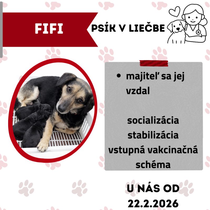 FIFI