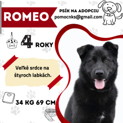 ROMEO