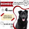 ROMEO