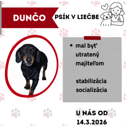 DUNČO
