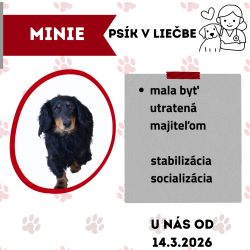 MINIE
