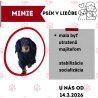 MINIE