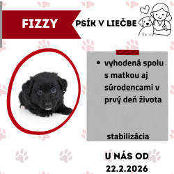 FIZZY