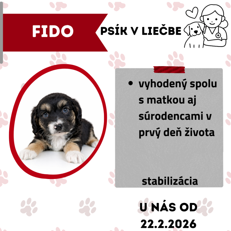 FIDO