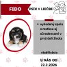 FIDO