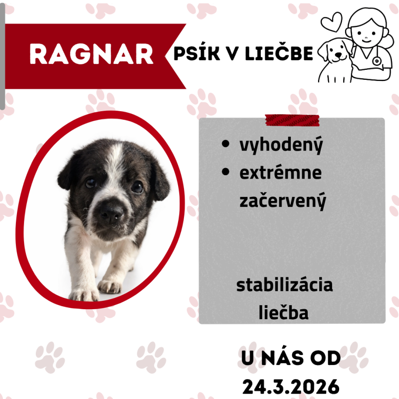 RAGNAR