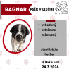 RAGNAR