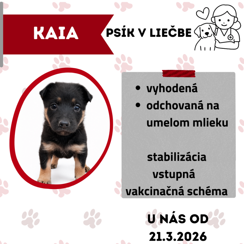 KAIA