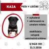 KAIA