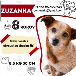 ZUZANKA