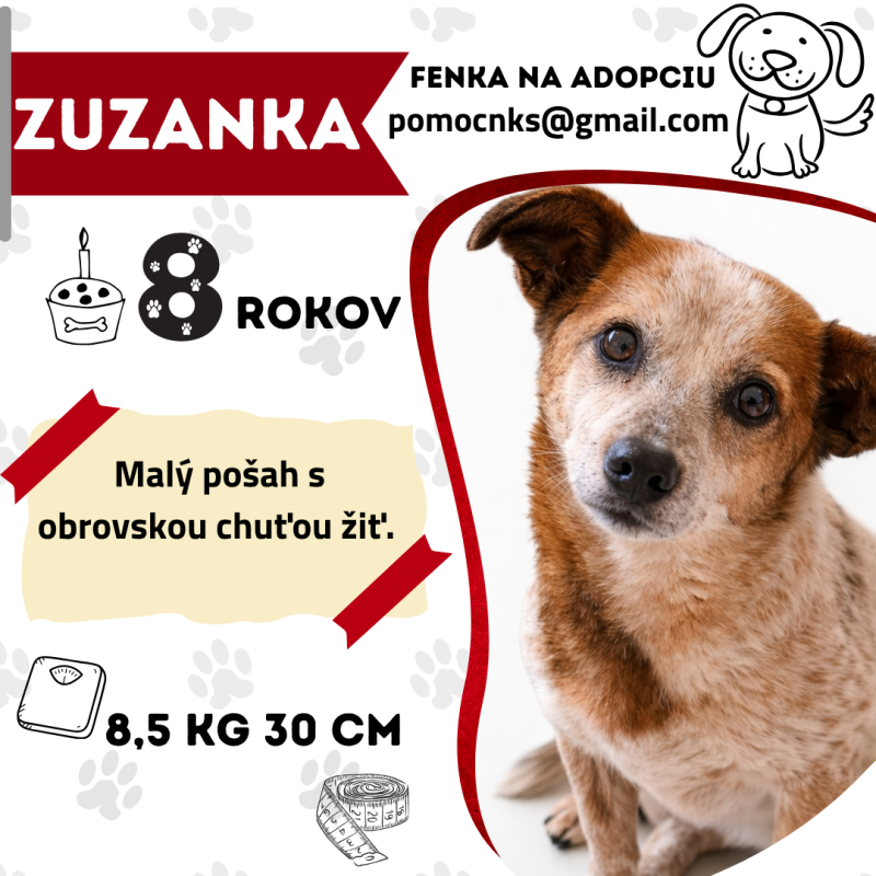 ZUZANKA