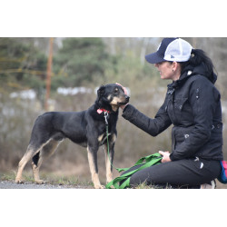 TINDER