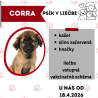 CORRA