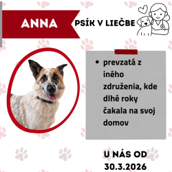 ANNA