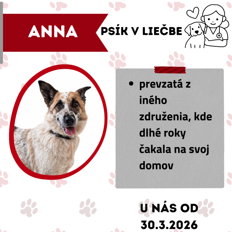 ANNA