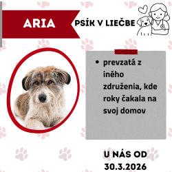 ARIA