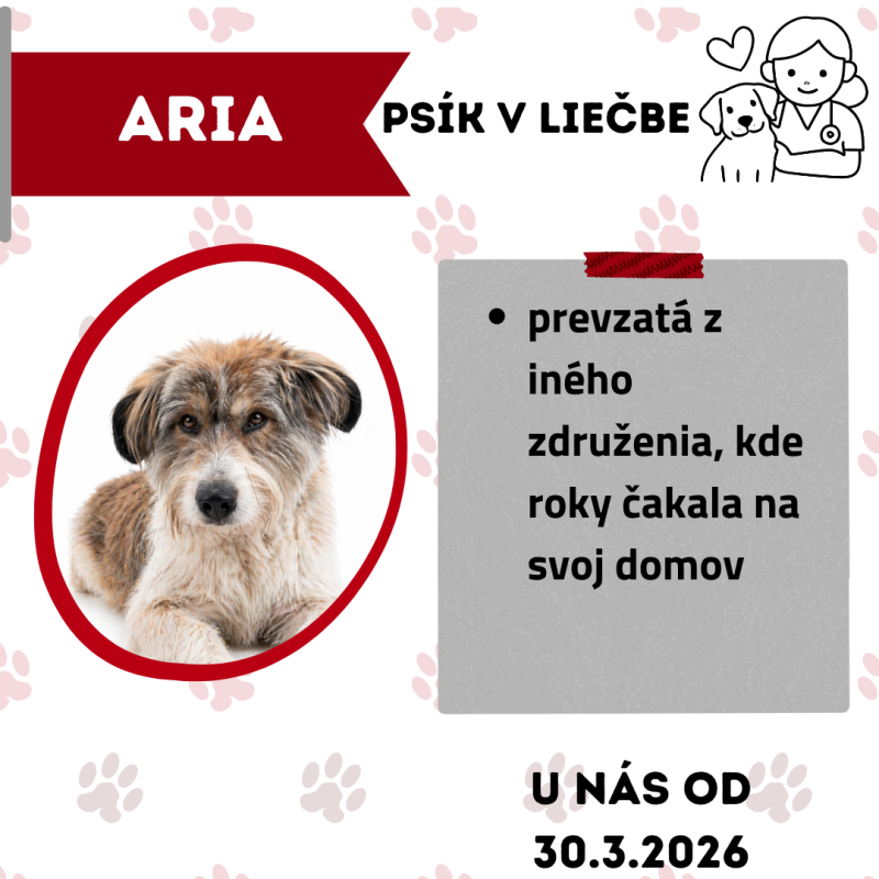 ARIA