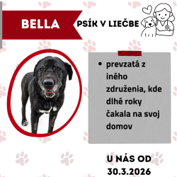 BELLA
