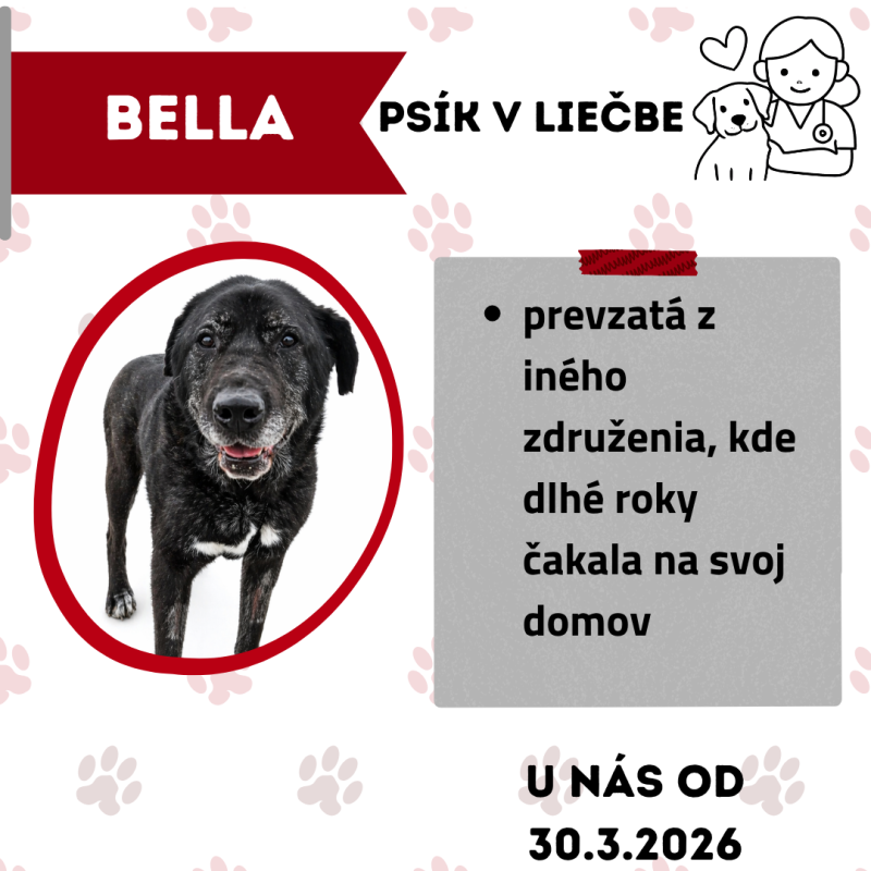 BELLA
