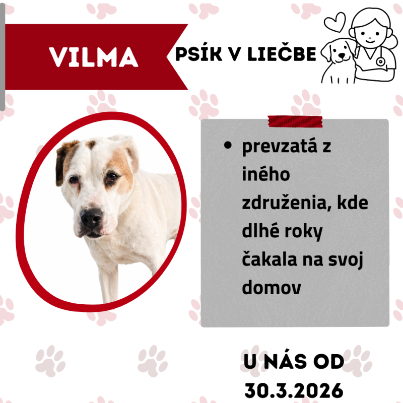 VILMA