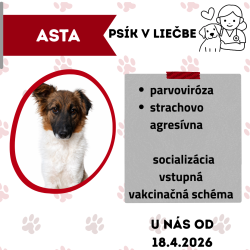 ASTA