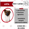 ASTA