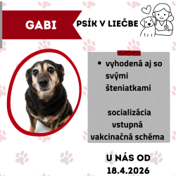 GABI