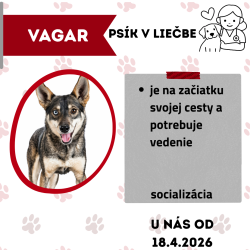 VAGAR