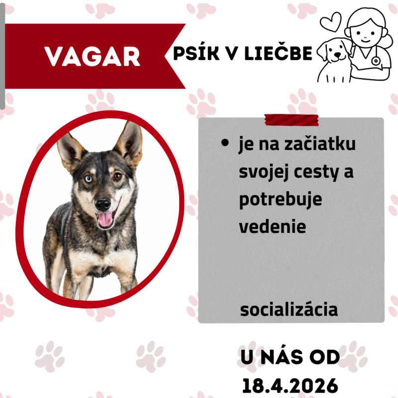 VAGAR