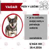 VAGAR