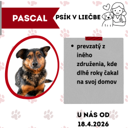 PASCAL