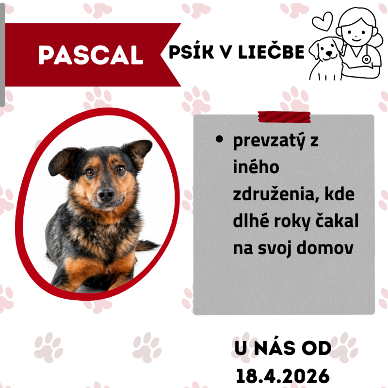 PASCAL