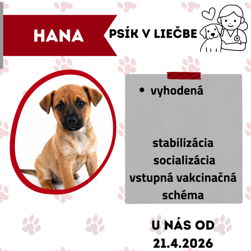HANA