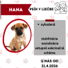 HANA