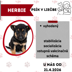 HERBIE