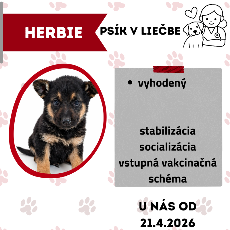 HERBIE