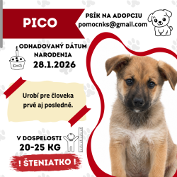 PICO
