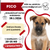 PICO