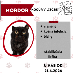 MORDOR
