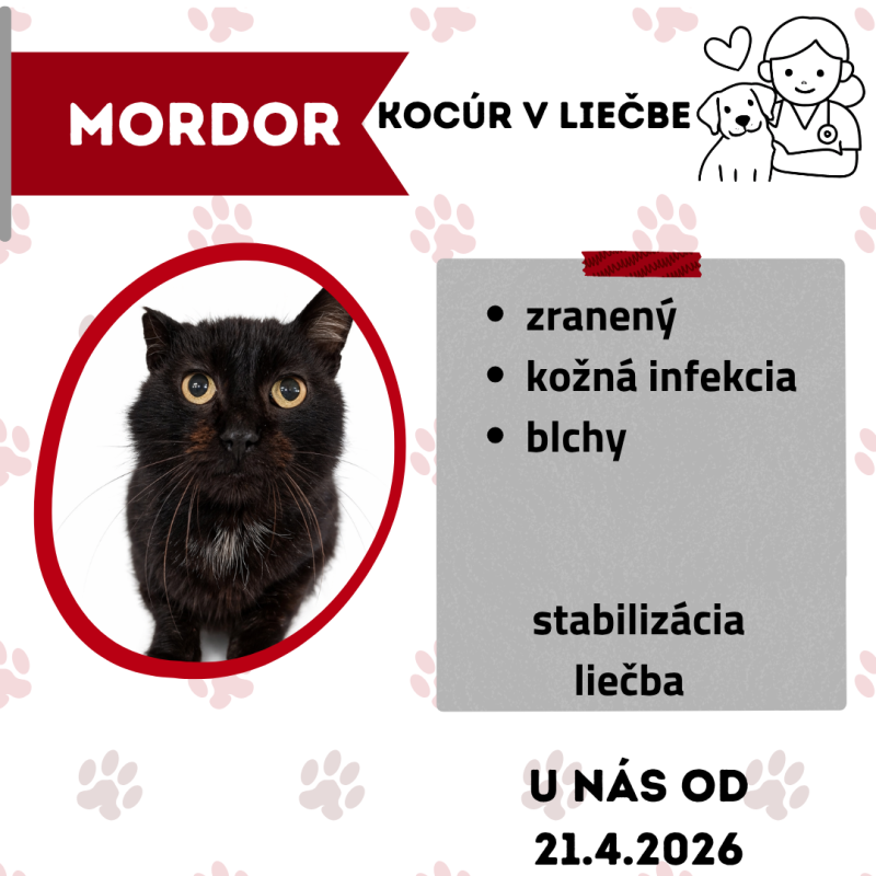 MORDOR