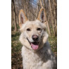 LOBBA