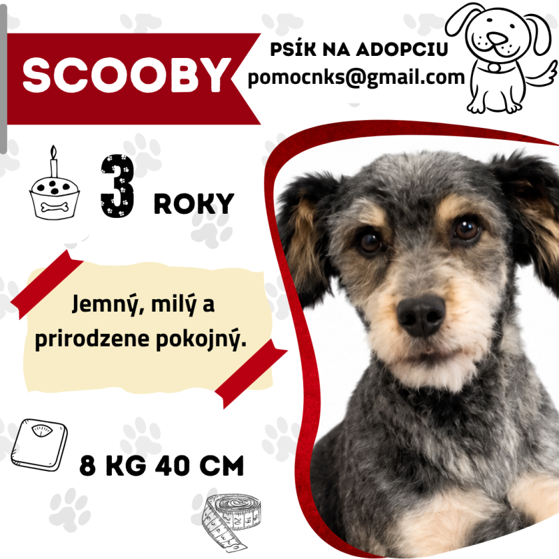 SCOOBY