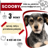 SCOOBY