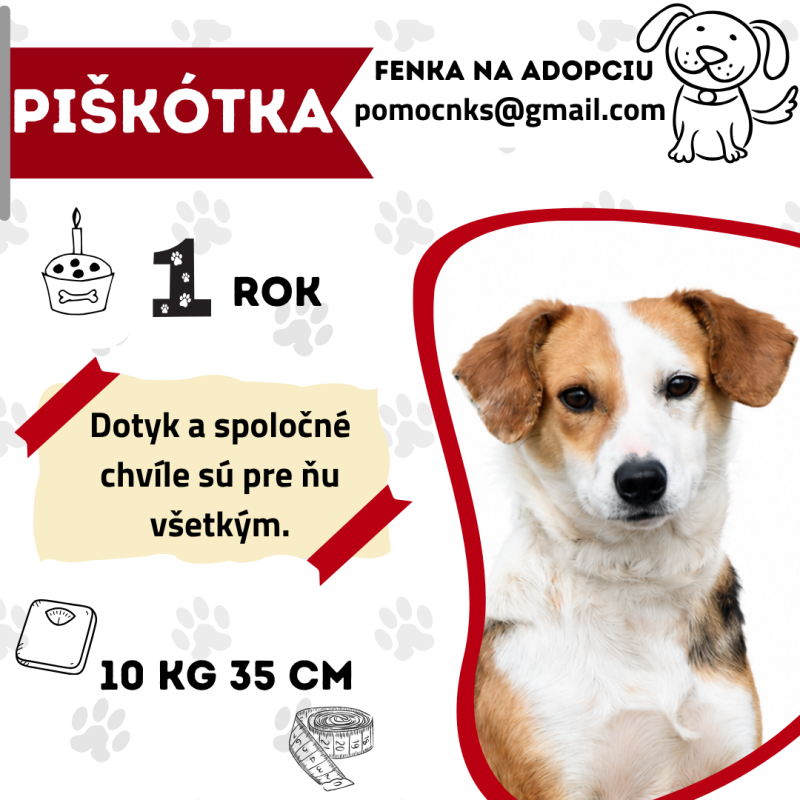 PIŠKÓTKA