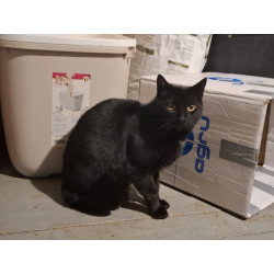 SALEM