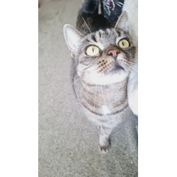 MIA