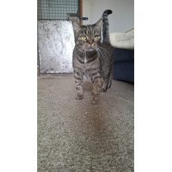 MIA