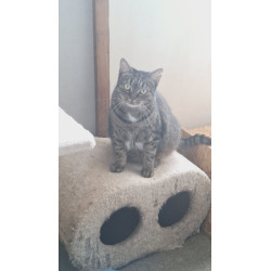 MIA