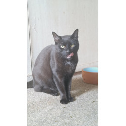 JERRY